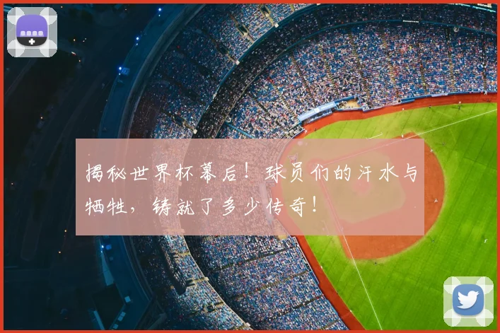 揭秘世界杯幕后！球员们的汗水与牺牲，铸就了多少传奇！